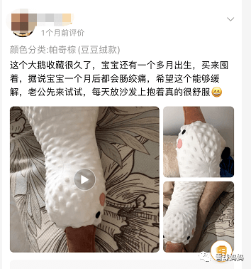 鹅不吃东西怎么办