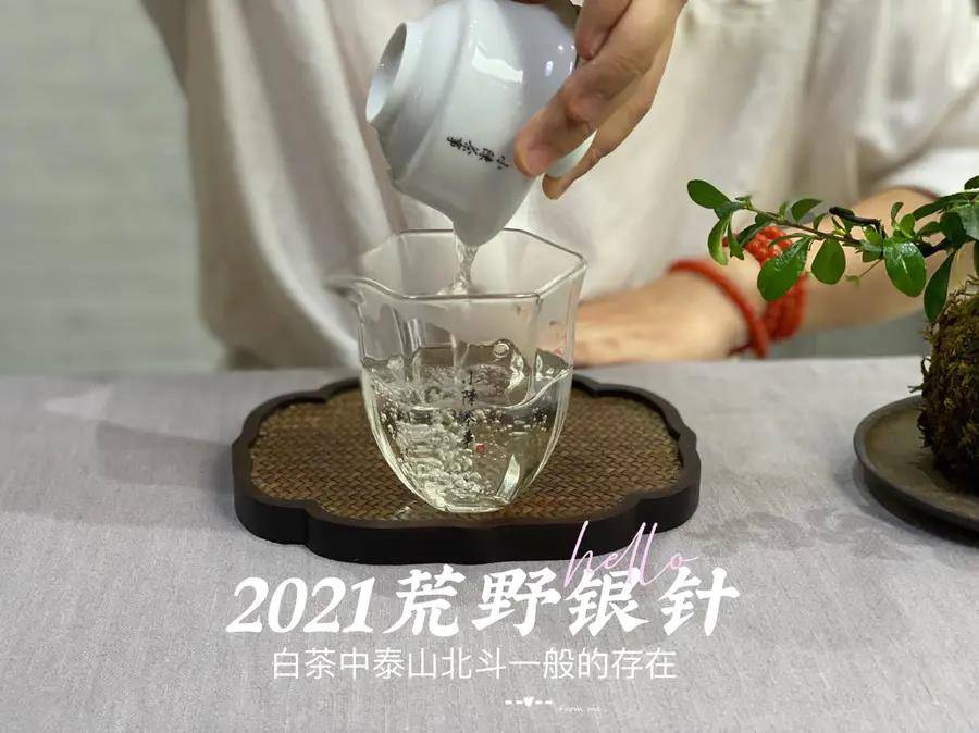 沸水|85℃热水与100℃沸水，哪个水温更适合白茶？你喝对了吗？