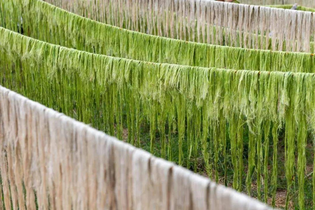 这种蓬松的菠萝叶纤维(palf)与玉米基聚乳酸(pla)混合,通过机械加工