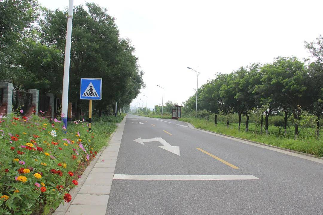 延庆区2021年乡村公路建设全面开工全方位助力乡村振兴_道路