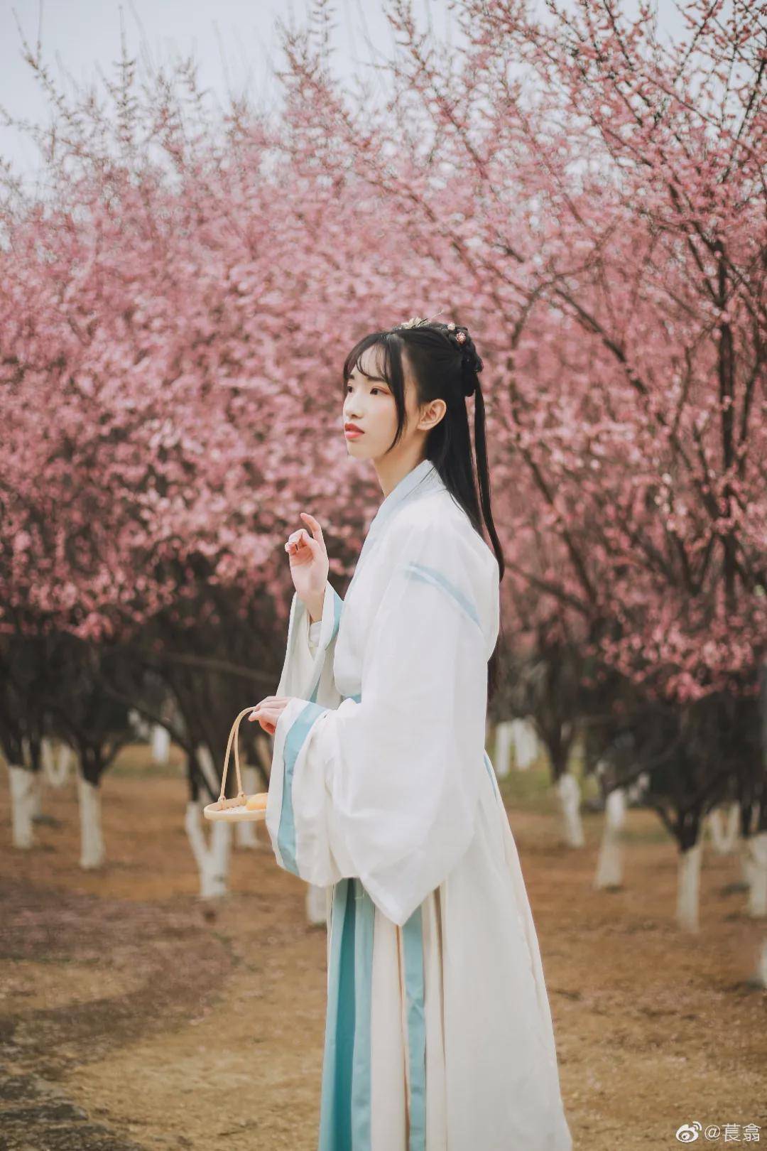 摄影|汉服小仙女：仙女来了