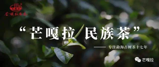 美图|「饮茶小贴士」秋天的第一杯茶应该怎么喝？