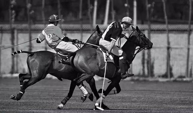 运动感|是我打开的方式不对么?被嫌弃的POLO衫还能这么时髦