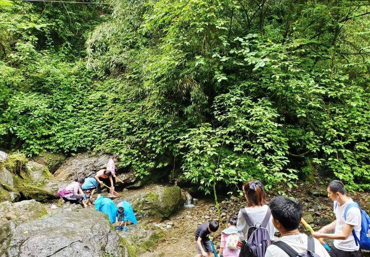 几个月的宝宝可以自己爬山吗 d912abd3694f4534be6489b5f7e3e1f7.jpeg