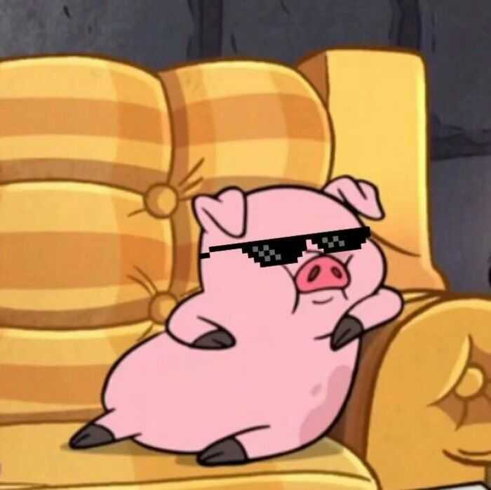 又萌又爆笑,听最好笑的笑话,看最搞笑的gif动态图