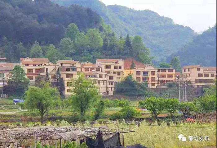 马尾村村貌再来看看小围寨街道办事处马尾村,一排排靓丽的房屋,干净的