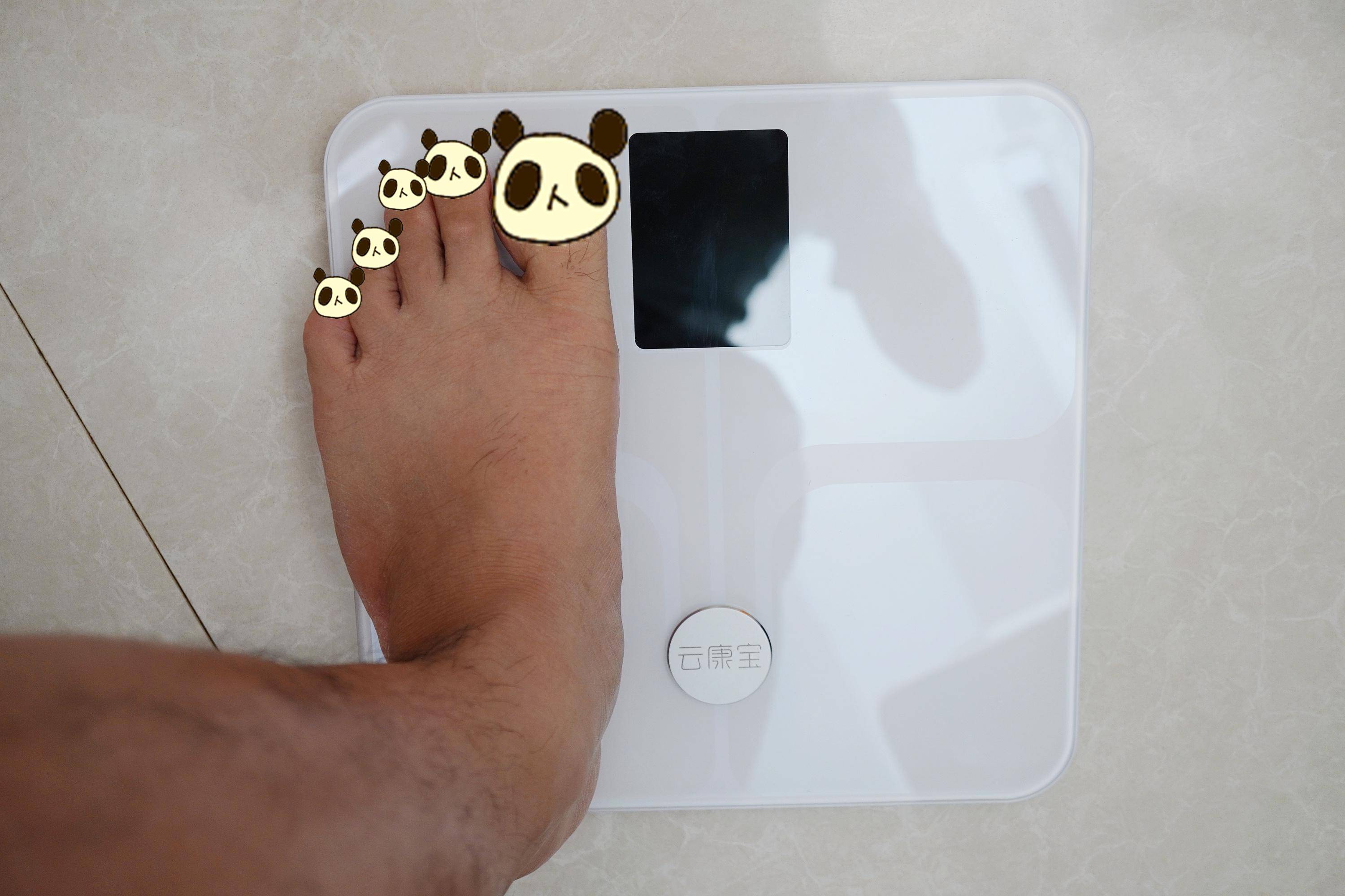 42项身体数据直观查看多种地形全适用云康宝体脂秤cs20x2