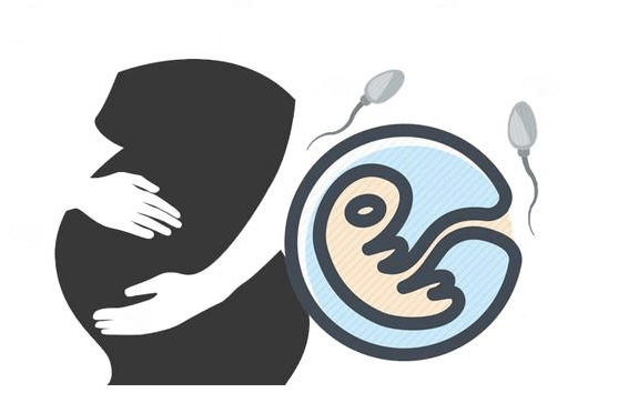 女性排卵期怎么算？排卵前和后“同房”哪个更易受孕？