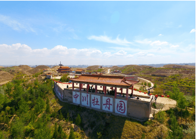 消费者|一站式服务，就选中川牡丹