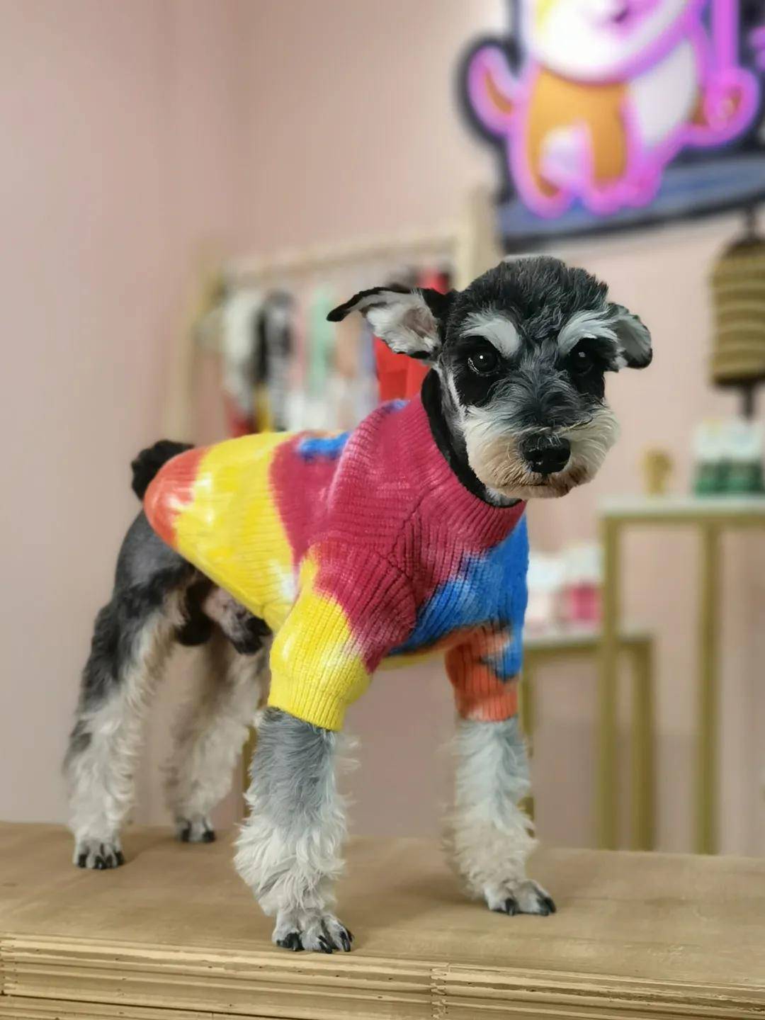 理念|兼顾设计与舒适，品牌宠物服饰新品抢先看