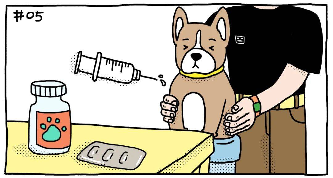 水灾过后 该如何养护狗狗