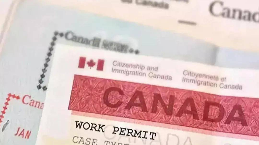 最新 加拿大各类签证审理进度更新