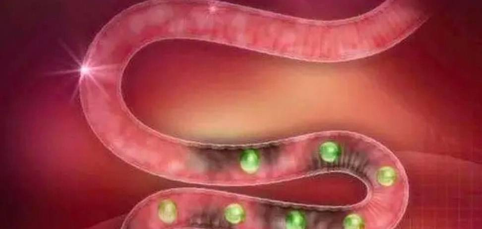 体重|早上起床后,坚持养成这几个小习惯,体重慢慢就降下来了