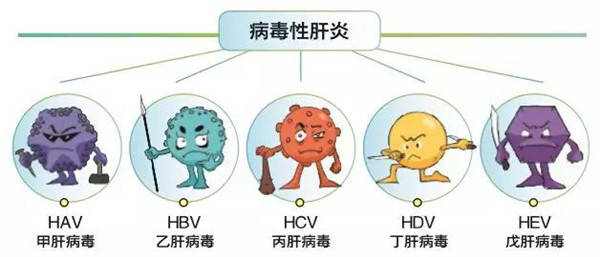 什么是黄疸分为几种类型 30f63cfb67dc4092b4deadd0c6a41750.jpeg