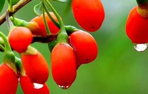 症状|肝脏健不健康，这几个地方就能看出来，一般很难藏住！