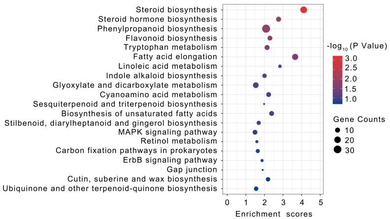 转录 代谢组学探究甘蔗中花青素生物合成途径及描绘生物合成图谱