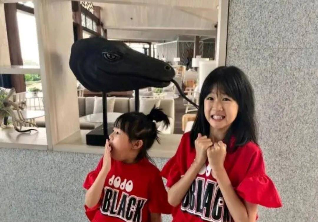 姐妹|陆毅女儿长成大姑娘，随便一穿花枝招展，夫妻关系决定孩子的品味