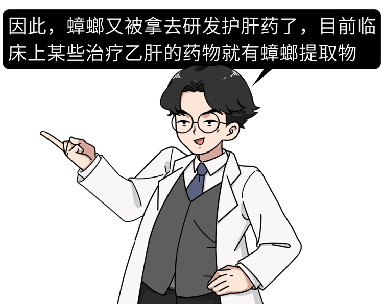 起到保护肝脏的效果两种转氨酶的浓度美洲大蠊提取物能降低血液中但