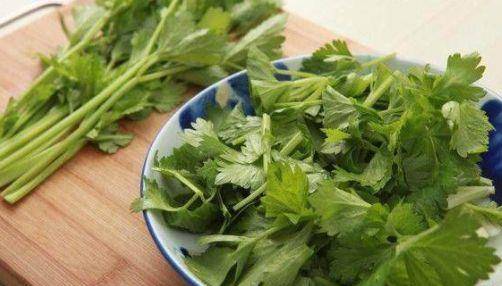 为什么有人喜欢吃香菜不喜欢吃芹菜 c196c92445594092ba9c7b78b0fcbb54.jpeg