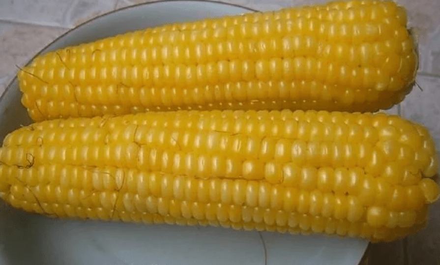 fade28023e434936ac6abd9b00d90d86.png