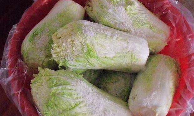 泡菜不酸加糖可以吗 2c72974f509244f4a89cee459a46fb73.jpeg