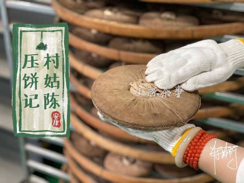 养分|长期收藏白茶，选散茶还是饼茶？两者的转化速度有快慢之分吗？