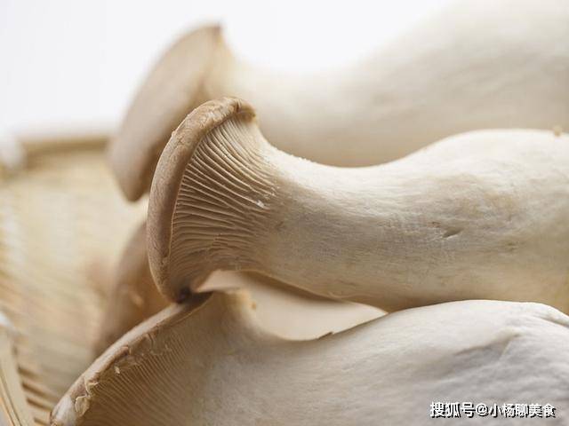 杏鲍菇跟它一起炒 营养丰富 味道鲜美 小孩常吃还能长个子 豆角