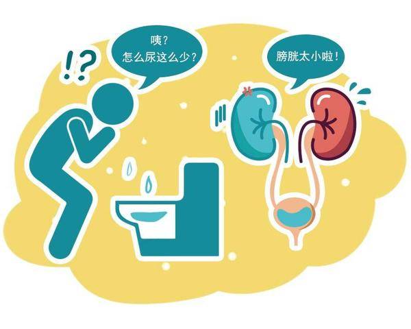 尿路阻塞,尿频尿急和血尿等几个症状,首先得去医院做相关的检查,一旦