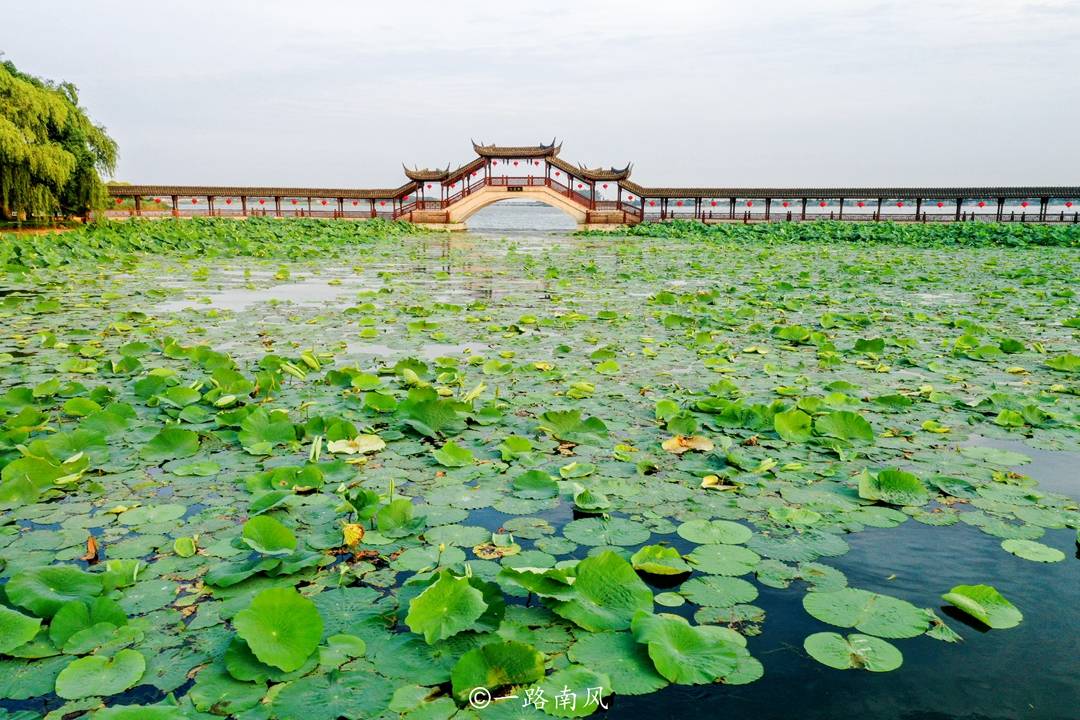 周庄古镇|宋代陈妃病殁苏州锦溪，皇帝下令建了一座寺院，不过皇妃身份成谜