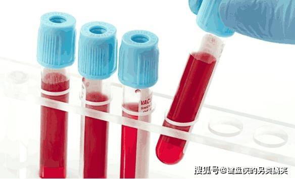 肠道|为什么总有人爱吃昆虫？专家研究发现，其营养价值难以预估