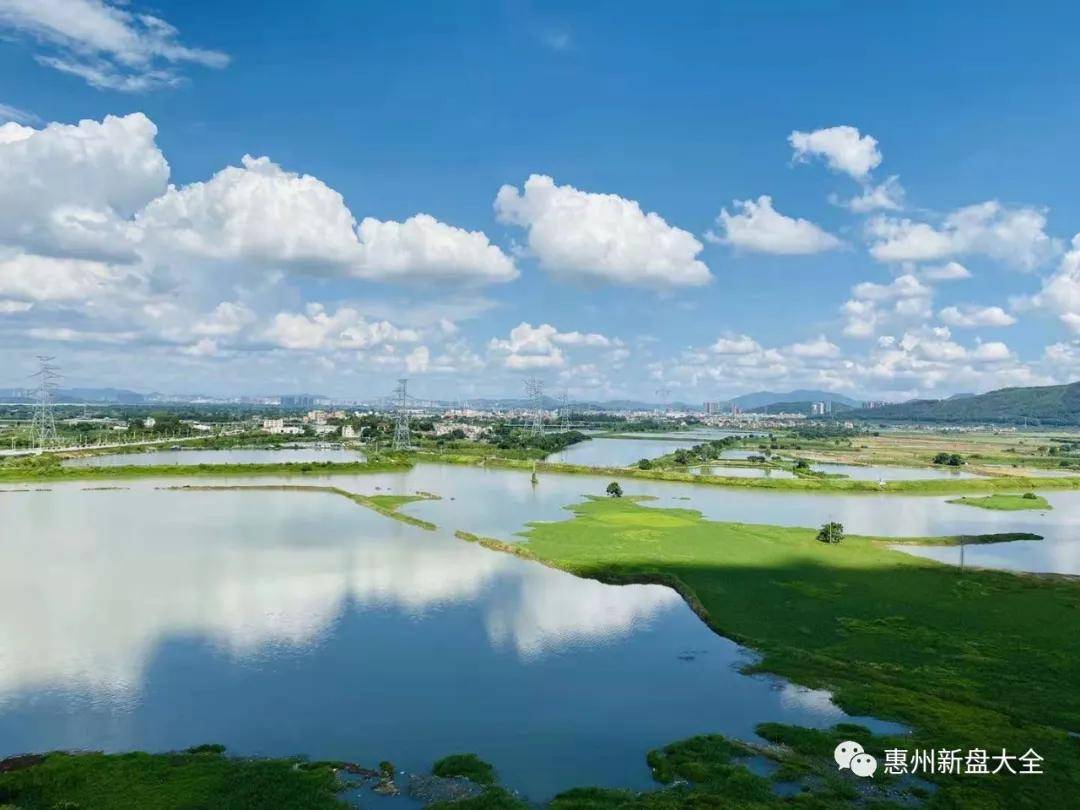 潼湖湿地图片