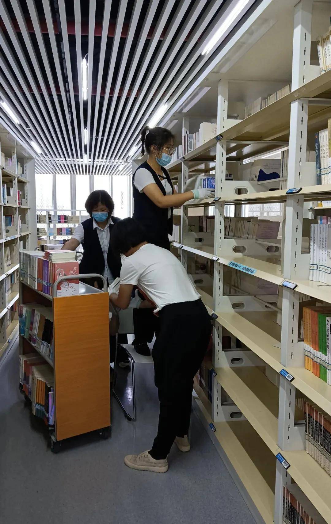 武清区图书馆完成图书更新工作