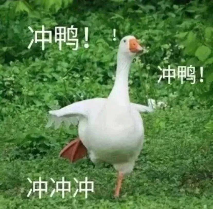 battle|前在韩务工人员大聚会,爷青回!