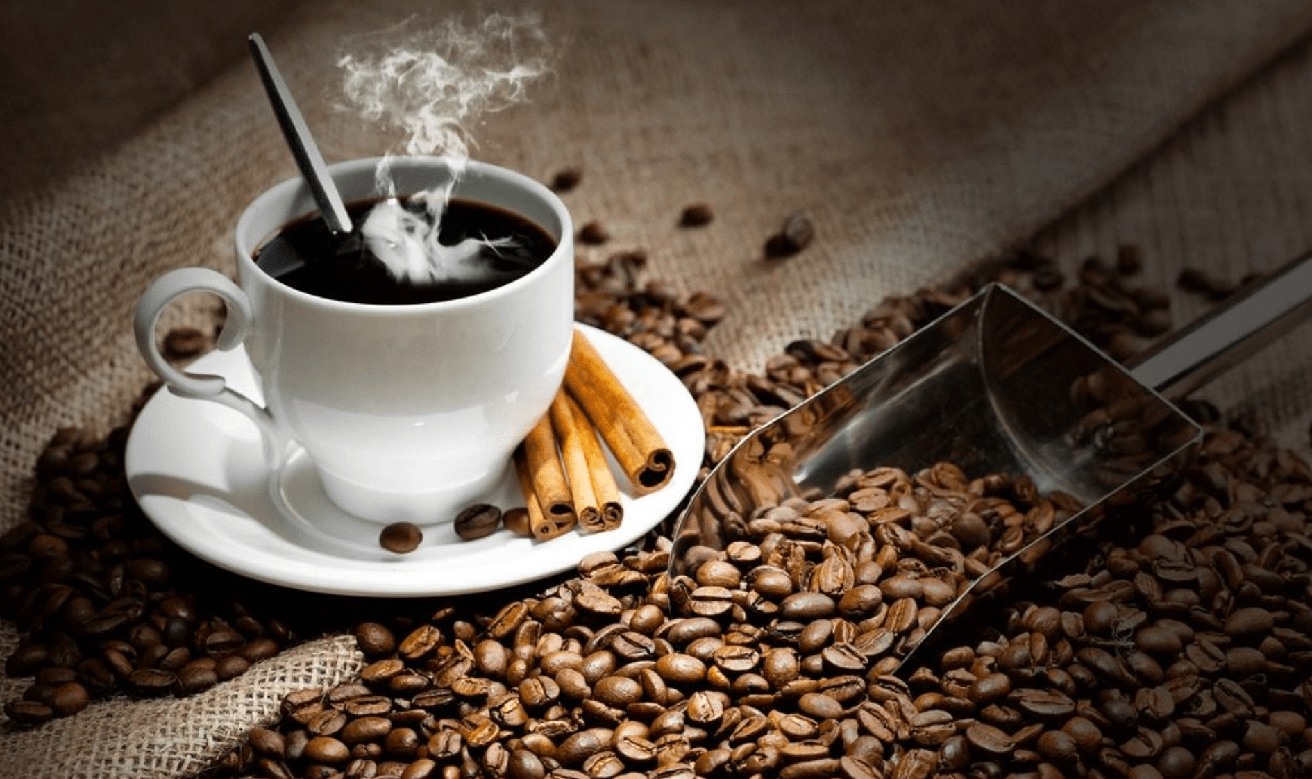 星巴克美式咖啡不属于精品咖啡吗?说出来都被鄙视?