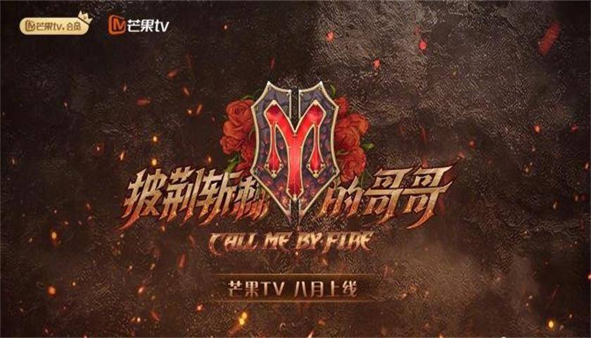 优酷对上芒果 资本愿意 追光 还是 披荆斩棘 市场