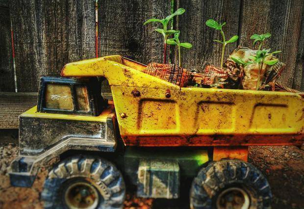 年轻宝|20年后，那些坚决不生二胎的家庭，会羡慕二胎家庭吗？答案很现实