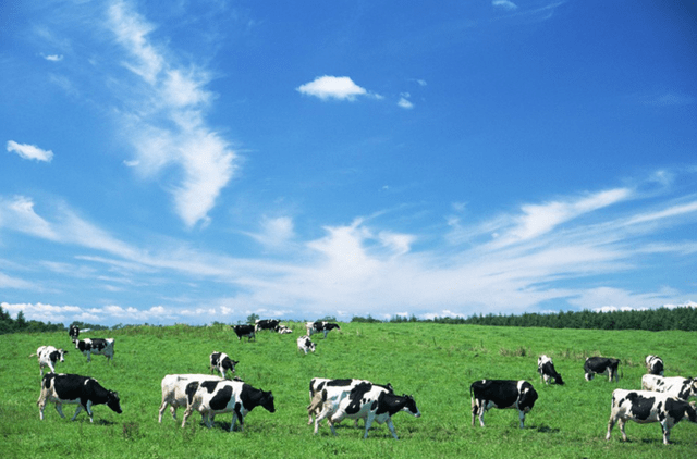 区组|补充胶原蛋白只能靠特殊途径?选对食材,一样可以达到同等效果!