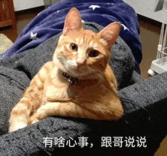 方法|七夕之后，感情降温不习惯怎么办 | 教你保持关系健康和充实的 10 种方法