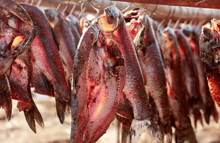 网络|广东1岁男童体内长出活虫，肝脏被咬穿！这种「好东西」别喂孩子吃了