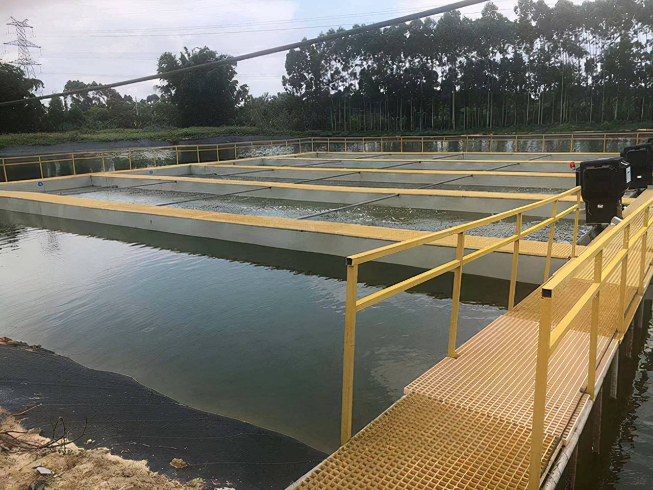 香鱼的养殖技巧是什么?这几个方面是要记好了