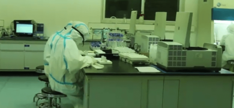 实验|从一根棉签到生成一纸报告，核酸检测都经历了啥？