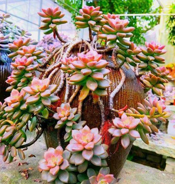 Www 366 Net歌词 晴格歌词网