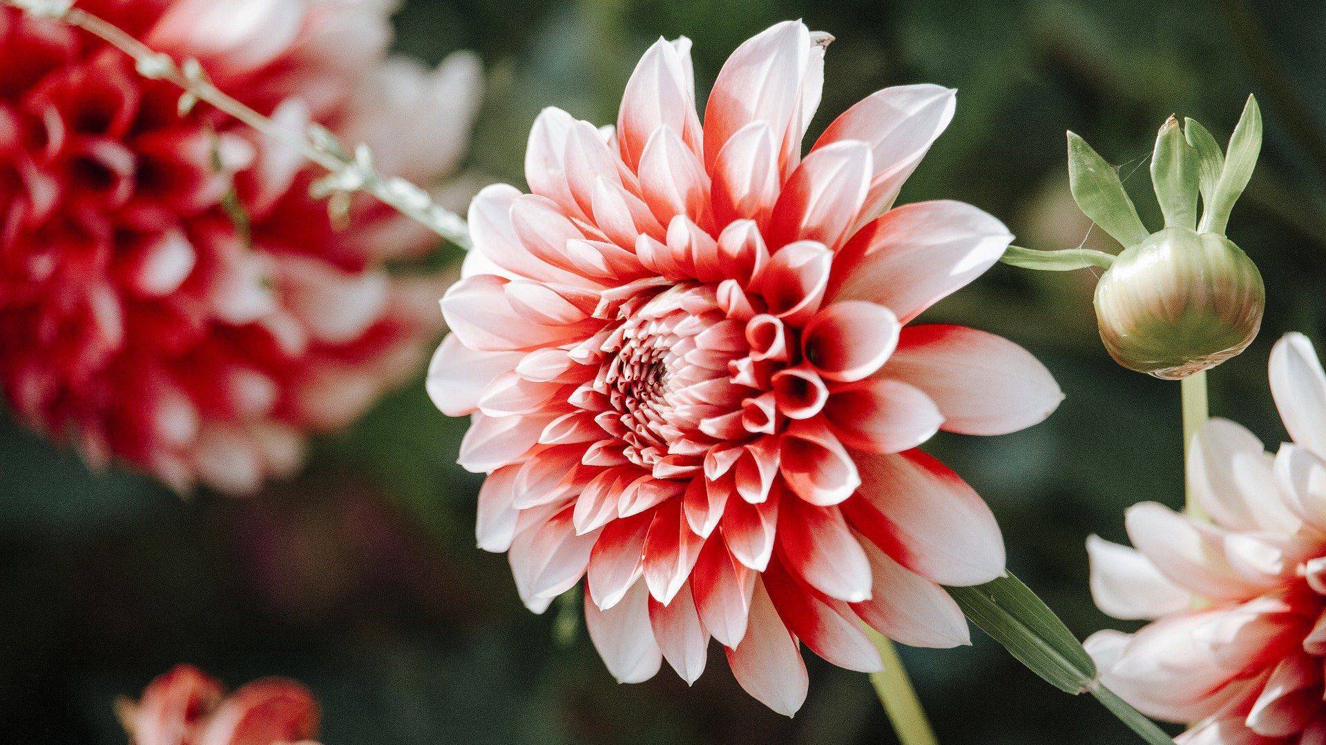 8月21日星座運勢 目標明確 勇往直前的四大星座 占星網