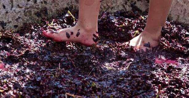 醇香|4种让人回味无穷的美味,是用脚踩出来的,有人不知