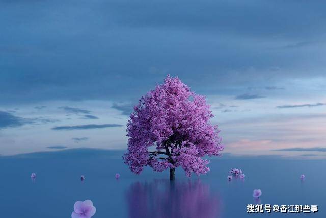 b179a4e7126a489b806c4ef4798906e9.jpeg
