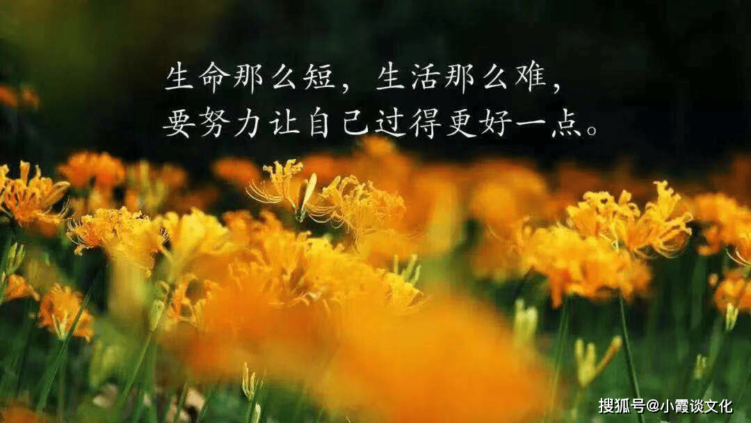 抖音很火的妈妈的歌_妈妈歌词抖音_抖音歌曲妈妈