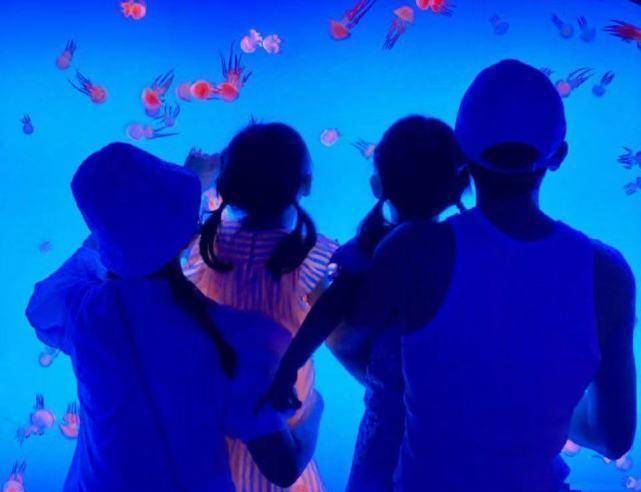 都是娜|谢娜生二胎后正式复工，张杰在家带三个孩子，给娃放漫画超有爱