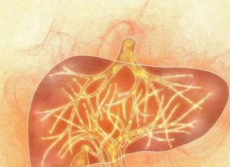 白萝卜|它是天然“强肝王”，没事多吃，修复肝细胞，肝脏可能会报答你