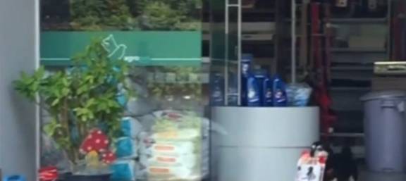 好事|狗狗每天都去店里赊账，把超市当成自己家，主人却对着账单发愁！