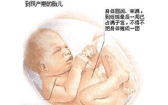 5defe076f16440fda633d37e0192780e.jpeg